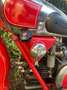 Moto Guzzi Falcone Czerwony - thumbnail 14