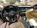 Alfa Romeo Stelvio Stelvio 2.2 d 190 CV AT8 Q4 IVA COMPRESA GANCIO T Vert - thumbnail 8