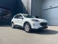 Ford Kuga Kuga 2.5 Duratec PHEV TITANIUM Weiß - thumbnail 2