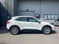 Ford Kuga Kuga 2.5 Duratec PHEV TITANIUM Weiß - thumbnail 4