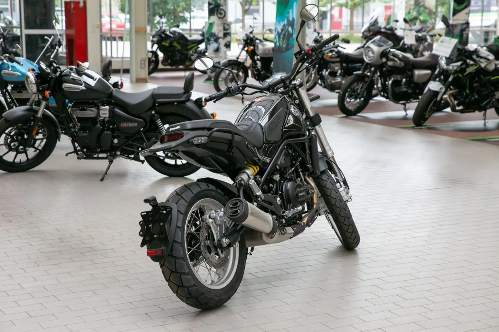 Benelli Leoncino 500 Trail, 1.Hand, unfallfrei Negro - 2