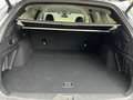Subaru OUTBACK Outback 2.5i Exclusive Cross Jagdverband/Versehrte Plateado - thumbnail 8