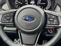 Subaru OUTBACK Outback 2.5i Exclusive Cross Jagdverband/Versehrte Plateado - thumbnail 18