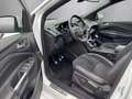 Ford Kuga ST-Line°Navi°SHZ°PDC°Panoramadach° Weiß - thumbnail 11