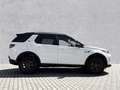 Land Rover Discovery Sport D200 Dynamic HSE 3D-Kamera el.AHK Weiß - thumbnail 6