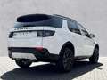 Land Rover Discovery Sport D200 Dynamic HSE 3D-Kamera el.AHK Weiß - thumbnail 2