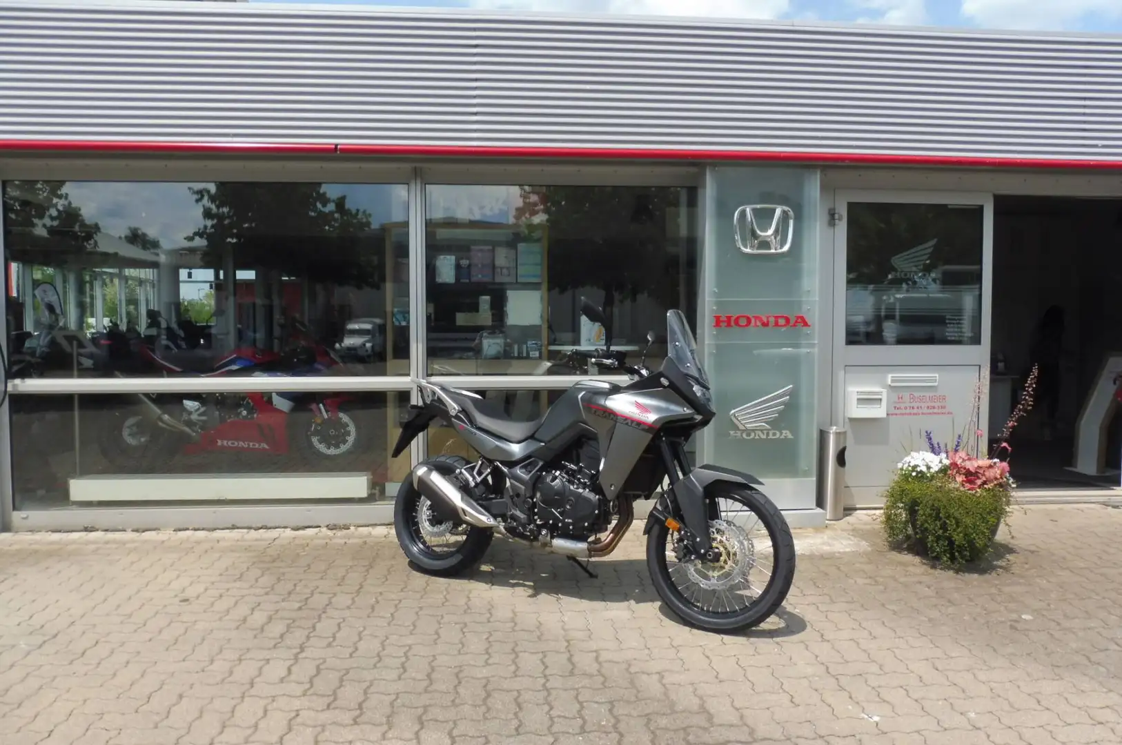 Honda Transalp 750 - 1