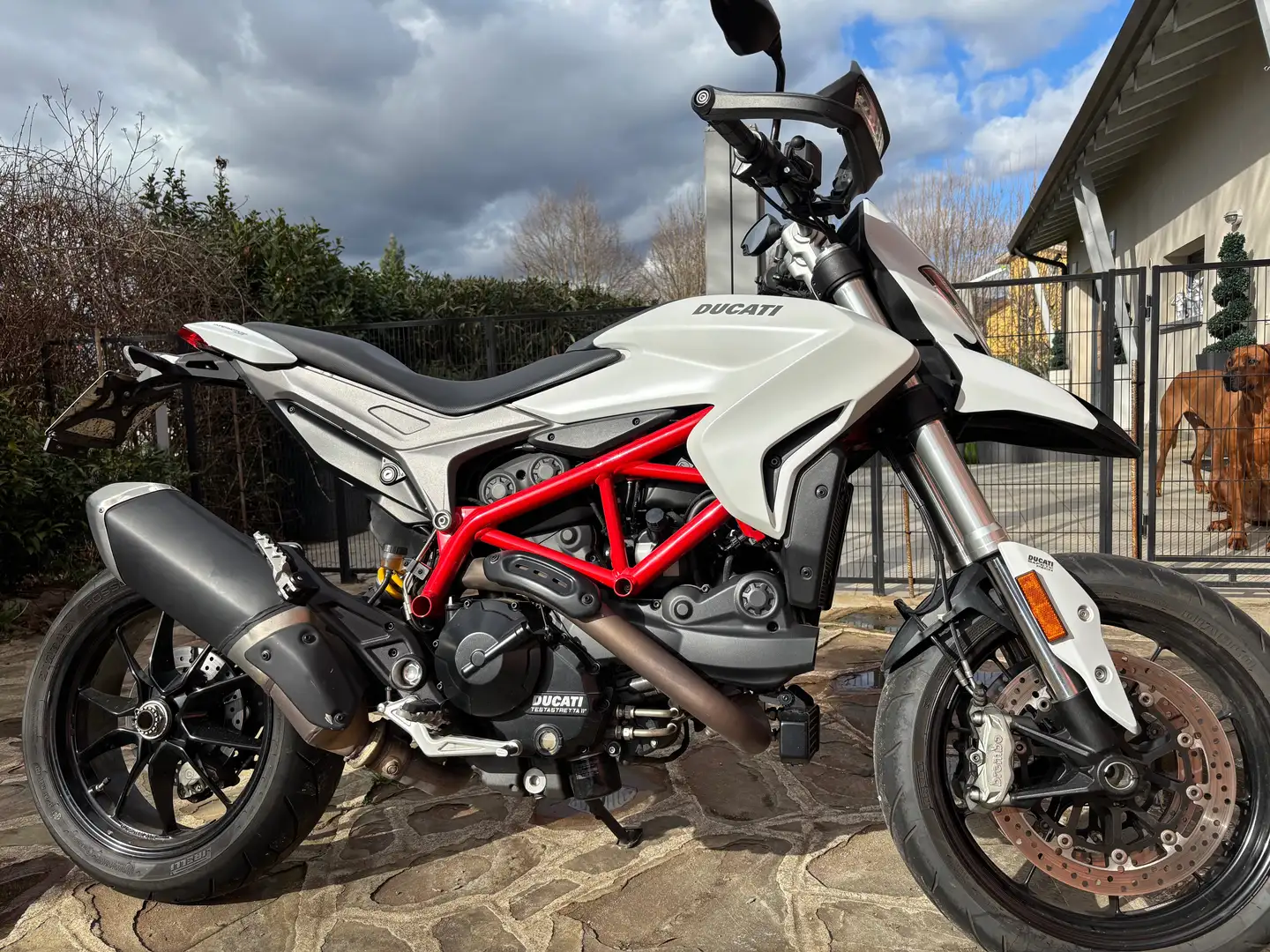 Ducati Hypermotard 939 939 Weiß - 1