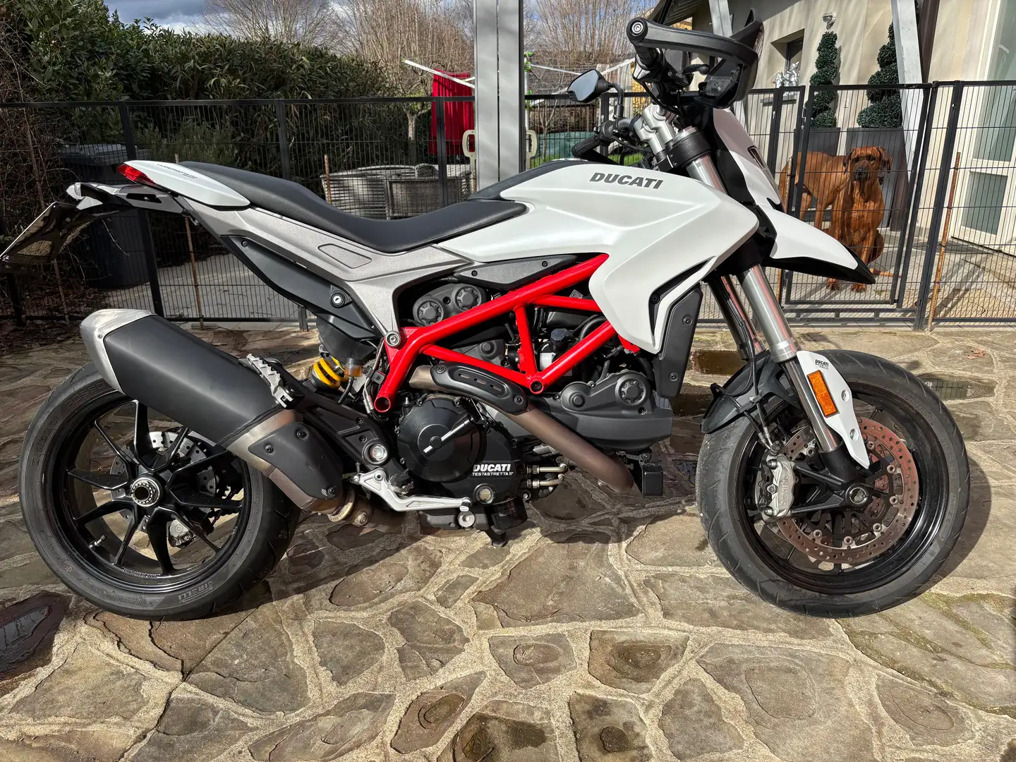 Ducati Hypermotard 939 939 Weiß - 2