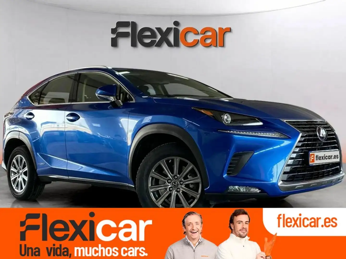 Lexus NX 300h 2.5 Business Navigation 2WD Blu/Azzurro - 1