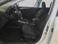 Ford Focus Turnier 1.5 EcoBlue Aut. TITANIUM EDITION Weiß - thumbnail 7