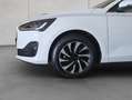 Ford Focus Turnier 1.5 EcoBlue Aut. TITANIUM EDITION Weiß - thumbnail 17