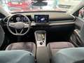 Volkswagen T-Roc 4Me eTSI DSG Rot - thumbnail 8