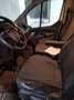 Ford Transit Custom Transit Custom L1H1 300K Variobus 2,2 TDCi Basis Basis Weiß - thumbnail 5