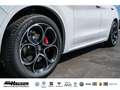 Alfa Romeo Stelvio Veloce 2.0 Turbo AT8 Q4 ASSISTENZ LEDER 20''ALU MY Weiß - thumbnail 7