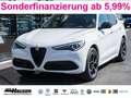Alfa Romeo Stelvio Veloce 2.0 Turbo AT8 Q4 ASSISTENZ LEDER 20''ALU MY Blanc - thumbnail 1