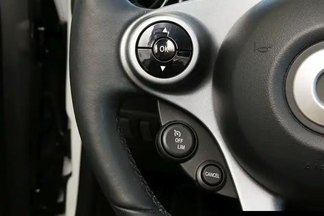 Smart Fortwo view 14