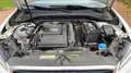 Audi Q2 1.4 TFSI 150 S-Tronic7 Business Line Blanco - thumbnail 15