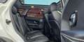 Land Rover Range Rover Evoque 5p 2.2 td4 Dynamic 150cv auto 9m Blanc - thumbnail 18
