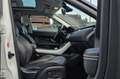 Land Rover Range Rover Evoque 5p 2.2 td4 Dynamic 150cv auto 9m Blanc - thumbnail 17