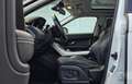 Land Rover Range Rover Evoque 5p 2.2 td4 Dynamic 150cv auto 9m Blanc - thumbnail 19