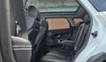 Land Rover Range Rover Evoque 5p 2.2 td4 Dynamic 150cv auto 9m Blanc - thumbnail 16