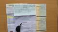 Peugeot Expert 2.0 HDi AIRCO TREKHAAK 157000km 2006 Wit - thumbnail 7