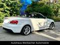 BMW 123 d Cabrio M Paket * Leder *NaviProf * Xenon * Weiß - thumbnail 7