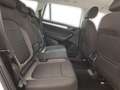 Skoda Kodiaq Clever 2.0 TDI DSG 4MOTION Weiß - thumbnail 21