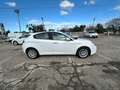 Alfa Romeo Giulietta 1.6 JTDm-2 120 CV Business Bianco - thumbnail 4
