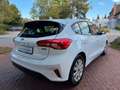 Ford Focus |LED TFL|PDC|Sitzhzg|Lenkradhzg|USB|EURO6! Blanc - thumbnail 6