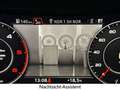 Audi Q7 3.0 TDI |S-LINE|MATRIX|ACC|PANO|HUP|7-SITZER| Weiß - thumbnail 12