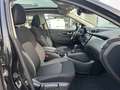 Nissan Qashqai Qashqai 1.3 DID-T – 7-Traps DCT – Pano – 360° Camera – Keyless – 1ste Eigenaar – 12 Maanden Garantie Negro - thumbnail 11