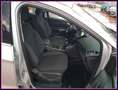 Ford Kuga 2.0 TDCI 150CV S&S 4WD ST-Line Bus. Argento - thumbnail 9