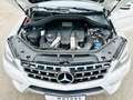 Mercedes-Benz ML 500 V8 4 MATIC AMG Paket Tüv NEU+1.HAND Bílá - thumbnail 5