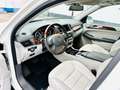 Mercedes-Benz ML 500 V8 4 MATIC AMG Paket Tüv NEU+1.HAND Bílá - thumbnail 7