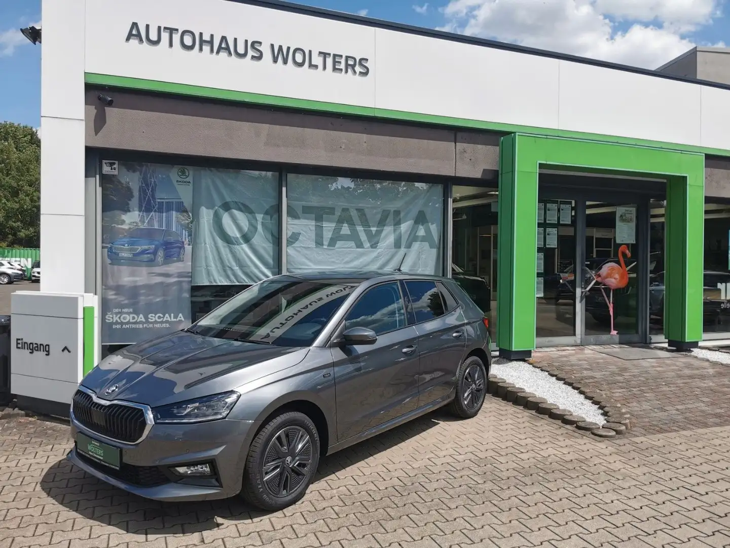 Skoda Fabia Tour Klima Alu Leder Assistenten EPH Grau - 1