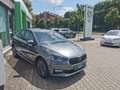 Skoda Fabia Tour Klima Alu Leder Assistenten EPH Grau - thumbnail 2