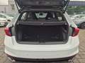 Skoda Fabia Monte Carlo 85kw TSI *NAVI*LED*SmartLink* Weiß - thumbnail 16