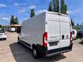 Fiat Ducato Kasten130 L4H2 Klima AHK Camper TÜV neu Blanco - thumbnail 7