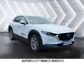 Mazda CX-30 2.5L 140ps 6MT FWD Centre-line DESI M+S inkl Weiß - thumbnail 6