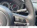 Mazda CX-30 2.5L 140ps 6MT FWD Centre-line DESI M+S inkl Weiß - thumbnail 20