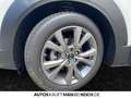 Mazda CX-30 2.5L 140ps 6MT FWD Centre-line DESI M+S inkl Weiß - thumbnail 16