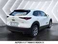 Mazda CX-30 2.5L 140ps 6MT FWD Centre-line DESI M+S inkl Weiß - thumbnail 5
