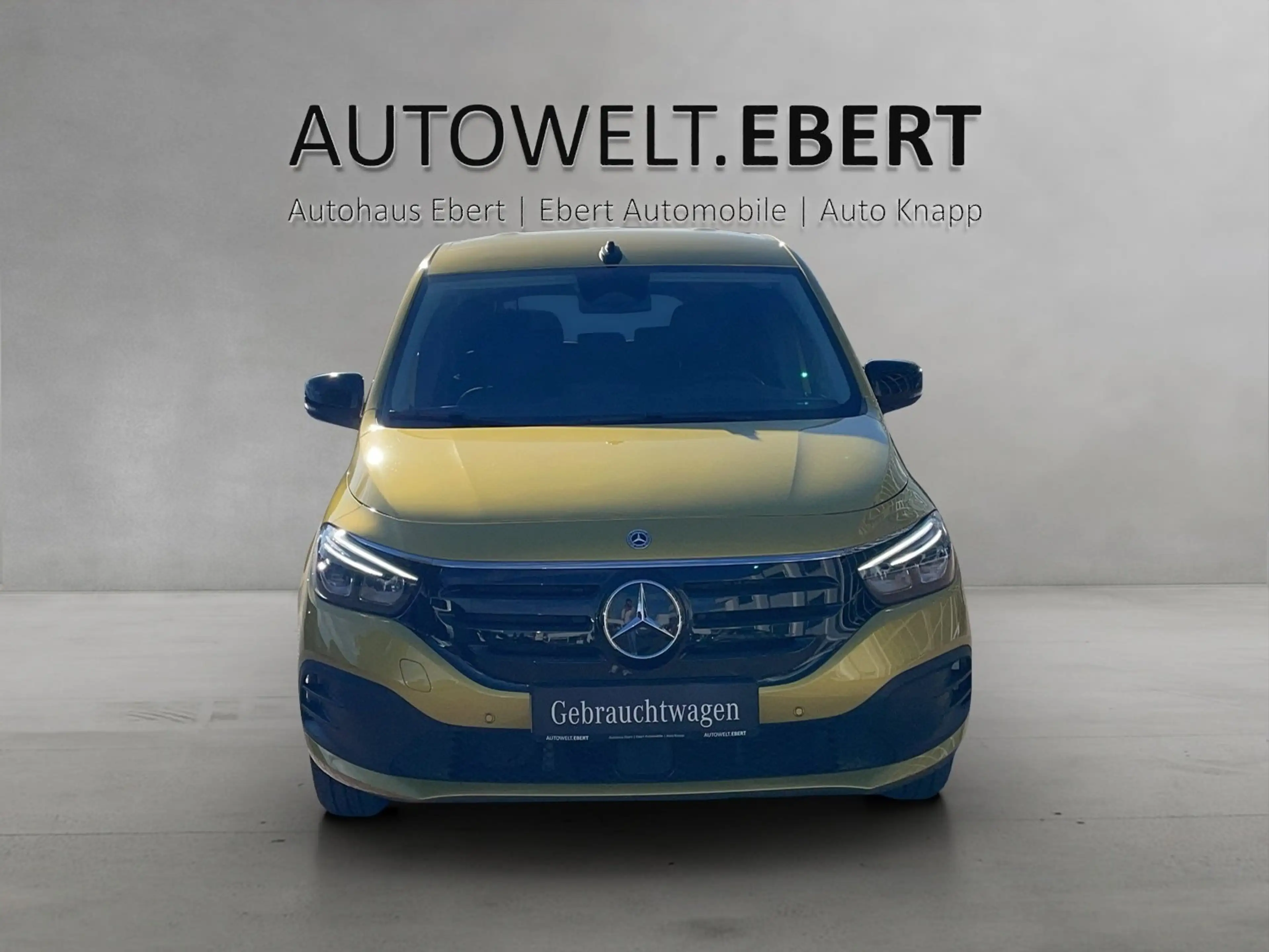 Mercedes-Benz EQT 200 L Progres 7-Sitze Navi-/Winter-/Park-Pkt