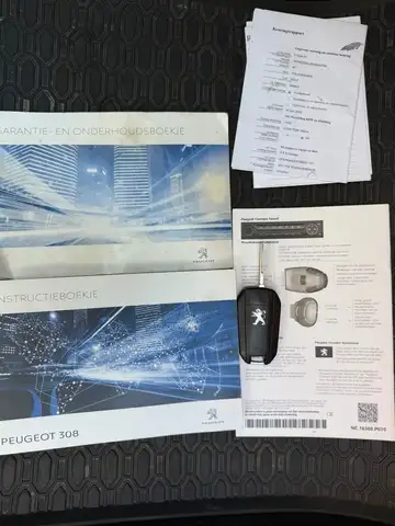 Peugeot 308 view 24