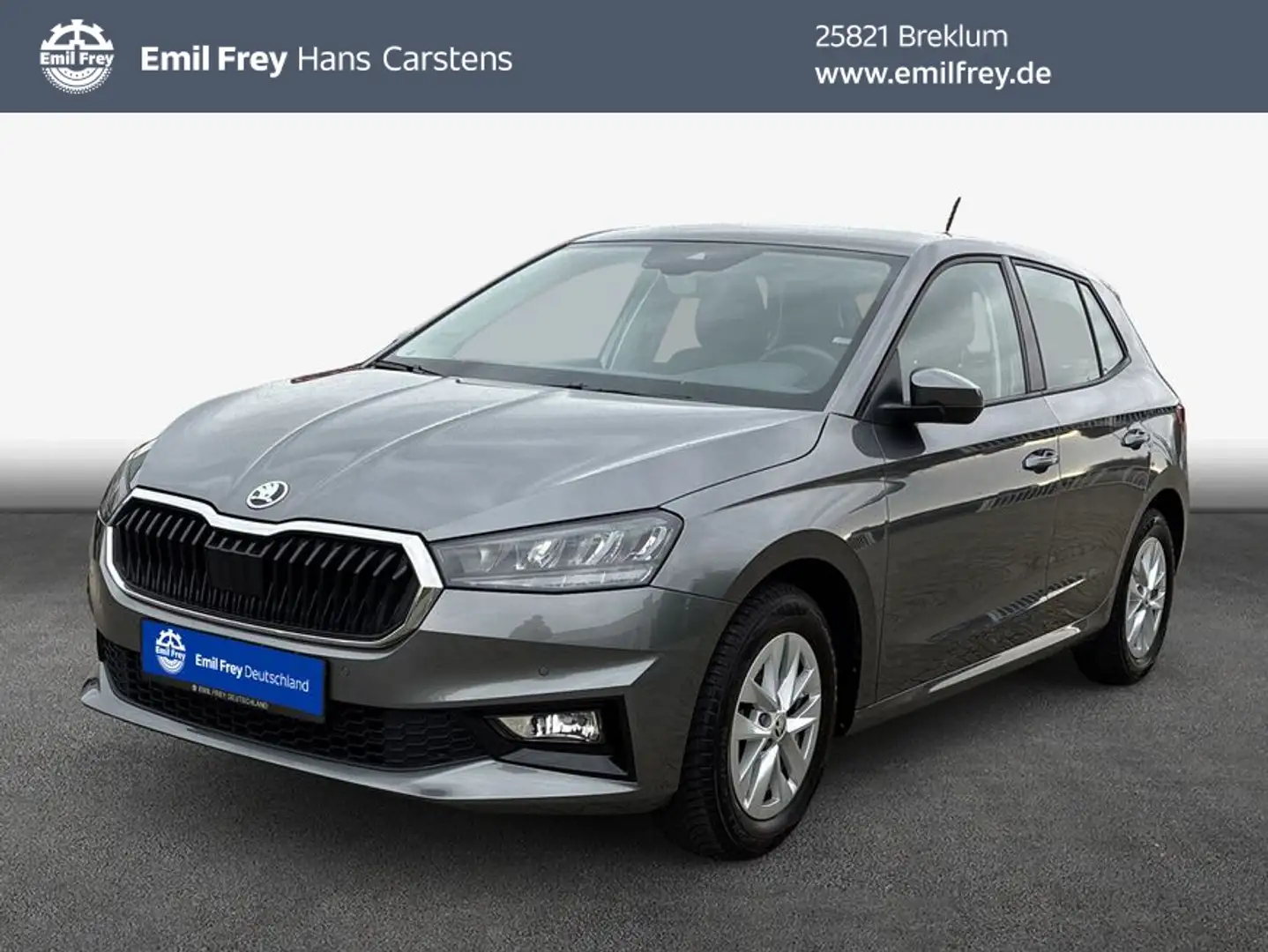 Skoda Fabia Selection 1.0 TSI Kamera LED Navi ACC Grau - 1