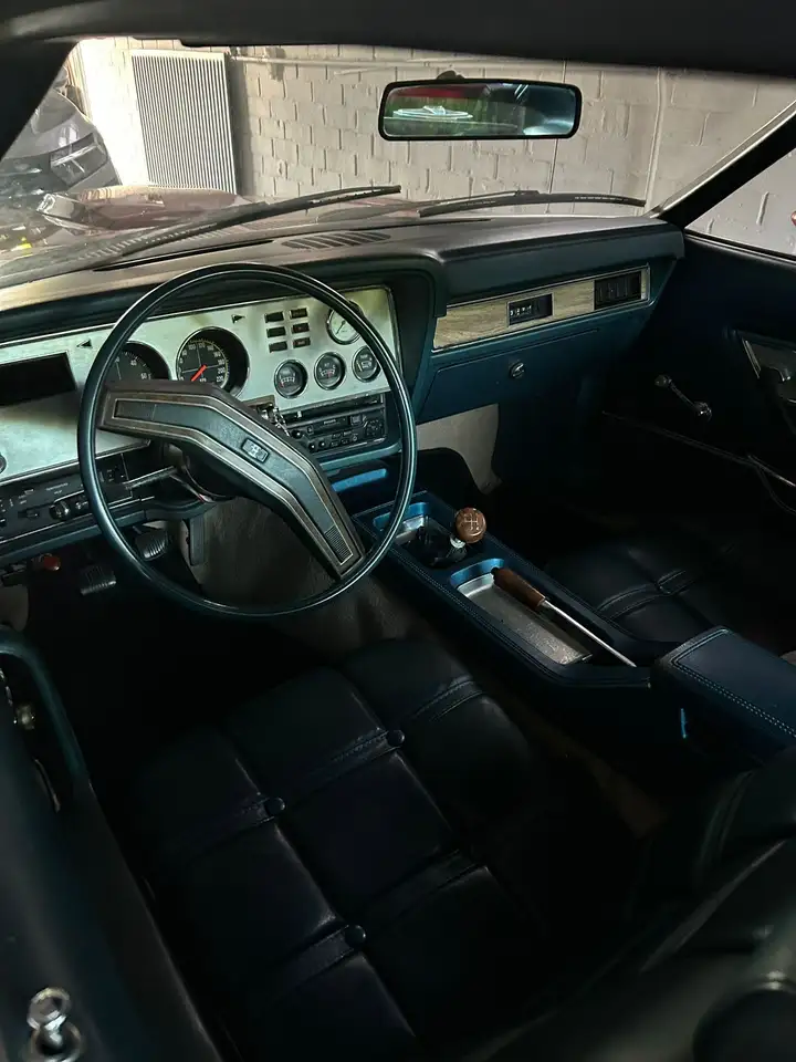 Ford Mustang Cobra II, foto 7