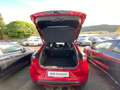 Ford Puma ST-LINE X 1.0T 155PS MHEV Automatik AHK abnehmbar Rojo - thumbnail 22