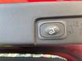 Ford Puma ST-LINE X 1.0T 155PS MHEV Automatik AHK abnehmbar Rojo - thumbnail 24
